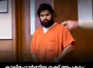 കാലിഫോർണിയ ട്രക്ക് അപകടം; ഇന്ത്യൻ യുവാവ് മദ്യലഹരിയിൽ ആയിരുന്നില്ലെന്ന് റിപ്പോർട്ട്