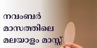 നവംബർ മാസത്തിലെ മലയാളം മാസ്സ് (Roman) Dublin 15ൽ നവംബർ 16ന്