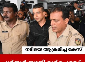 നടിയെ ആക്രമിച്ച കേസ്: പൾസർ സുനി ഉൾപ്പെടെ 6 പ്രതികൾക്കും 20 വർഷം തടവ്