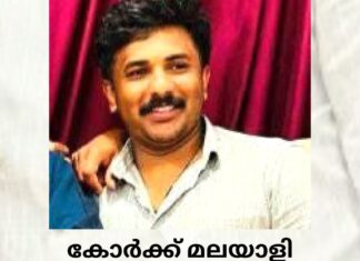 കോർക്ക് മലയാളി വാഹനാപകടത്തിൽ മരിച്ചു