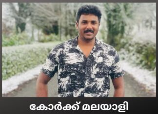 കോർക്ക് മലയാളി വാഹനാപകടത്തിൽ മരിച്ചു