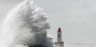 เดธเตเดฑเตเดฑเตเด เดฌเตเดฐเดพเด: เดตเดฟเดตเดฟเดงเดฏเดฟเดเดเตเดเดณเดฟเตฝ เดธเตโเดเตเดณเตเดเตพเดเตเดเต เด
เดตเดงเดฟ, เดกเดฌเตเดฒเดฟเตป เดตเดฟเดฎเดพเดจเดคเตเดคเดพเดตเดณเดคเตเดคเดฟเตฝ เดจเดฟเดฐเดตเดงเดฟ เดธเตผเดตเตเดธเตเดเตพ เดฑเดฆเตเดฆเดพเดเตเดเดฟ