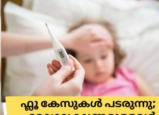 ഫ്ലൂ കേസുകൾ പടരുന്നു; രോഗലക്ഷണമുള്ളവർ വീടുകളിൽ തുടരാൻ നിർദ്ദേശം