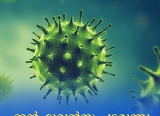 ഇൻഫ്ലുവൻസ പടരുന്നു; ജാഗ്രത വേണമെന്ന് ആരോഗ്യവിദഗ്ധർ