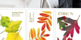 เดซเตเดฌเตเดฐเตเดตเดฐเดฟ เดฎเตเดคเตฝ เดจเดพเดทเดฃเตฝ, เดเดจเตเดฑเตผเดจเดพเดทเดฃเตฝ เดธเตเดฑเตเดฑเดพเดฎเตเดชเตเดเดณเตเดเต เดตเดฟเดฒ An Post เดตเตผเดฆเตเดงเดฟเดชเตเดชเดฟเดเตเดเตเด