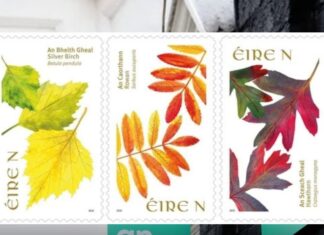 ഫെബ്രുവരി മുതൽ നാഷണൽ, ഇന്റർനാഷണൽ സ്റ്റാമ്പുകളുടെ വില An Post വർദ്ധിപ്പിക്കും