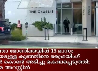 സാന്താ മോണിക്കയിൽ 15 മാസം പ്രായമുള്ള കുഞ്ഞിനെ ഫ്രൈയിംഗ് പാൻ കൊണ്ട് അടിച്ചു കൊലപ്പെടുത്തി; അമ്മ അറസ്റ്റിൽ