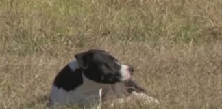 ടെക്സസിലെ ഐസ് തടങ്കൽ പാളയത്തിൽ രണ്ടാഴ്ചയ്ക്കിടെ രണ്ടാമത്തെ മരണം