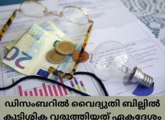 ഡിസംബറിൽ വൈദ്യുതി ബില്ലിൽ കുടിശ്ശിക വരുത്തിയത് ഏകദേശം 320,000 പേർ