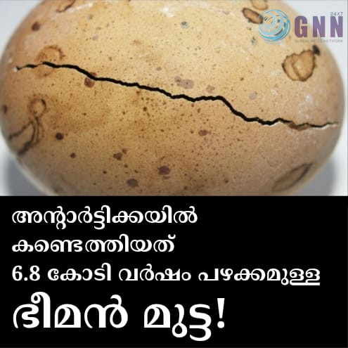 അന്റാർട്ടിക്കയിൽ കണ്ടെത്തിയത് 6.8 കോടി വർഷം പഴക്കമുള്ള ഭീമൻ മുട്ട!