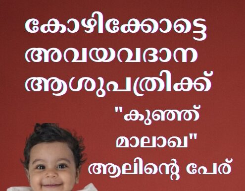 കോഴിക്കോട്ടെ അവയവദാന ആശുപത്രിക്ക് “കുഞ്ഞ് മാലാഖ” ആലിന്റെ പേര് നൽകുമെന്ന് മുഖ്യമന്ത്രി