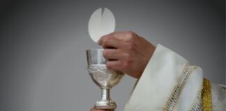 ഫെബ്രുവരി മാസത്തിലെ മലയാളം മാസ്സ് (Roman) ഫെബ്രുവരി 15ന്