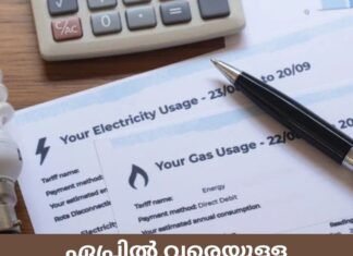 ഏപ്രിൽ വരെയുള്ള കാലയളവിൽ ഊർജ്ജ വില 15% ൽ അധികം ഉയർന്നു- CSO