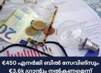 ഐറിഷ് കുടുംബങ്ങൾക്ക് €450 എനർജി ബിൽ സേവിങ്സും €3.6k ഗ്രാന്റും നൽകണമെന്ന് ആവശ്യം