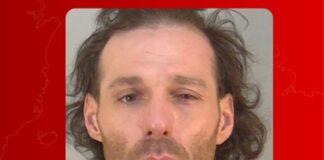 സ്ത്രീയെ ആക്രമിച്ച നായയെ വെടിവയ്ക്കാൻ ശ്രമിക്കുന്നതിനിടെ ഉടമ കൊല്ലപ്പെട്ടു; പ്രതിക്കായി തെരച്ചിൽ