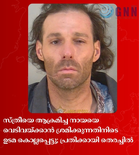 സ്ത്രീയെ ആക്രമിച്ച നായയെ വെടിവയ്ക്കാൻ ശ്രമിക്കുന്നതിനിടെ ഉടമ കൊല്ലപ്പെട്ടു; പ്രതിക്കായി തെരച്ചിൽ