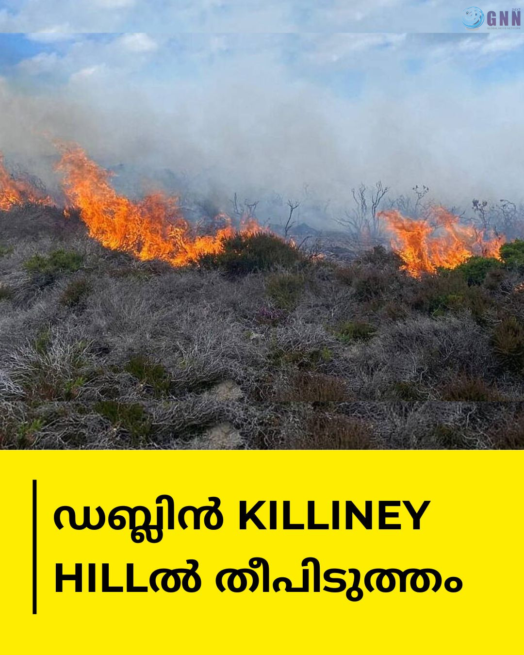 ഡബ്ലിൻ Killiney Hillൽ തീപിടുത്തം