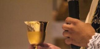 Dublin 15ൽ Church of Mary Mother of Hope പള്ളിയിൽ മെയ് മാസത്തിലെ മലയാളം Mass (Roman) 17ന്