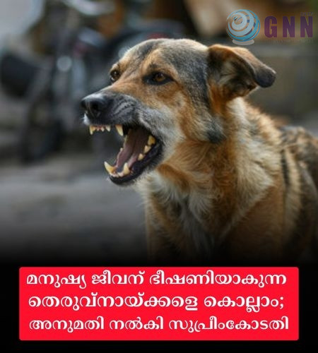 മനുഷ്യ ജീവന് ഭീഷണിയാകുന്ന തെരുവ്നായ്ക്കളെ കൊല്ലാം; അനുമതി നൽകി സുപ്രീംകോടതി