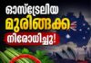 ഓസ്ട്രേലിയ മുരിങ്ങക്ക നിരോധിച്ചു; വിഷമത്തോടെ ഏഷ്യക്കാർ