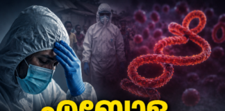 എബോള രോഗബാധ; അനാവശ്യ യാത്രകൾ ഒഴിവാക്കണം, നിർദേശവുമായി കേന്ദ്ര സർക്കാർ