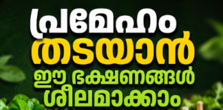 പ്രമേഹം തടയാൻ ഈ ഭക്ഷണങ്ങൾ ശീലമാക്കാം