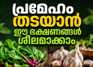 പ്രമേഹം തടയാൻ ഈ ഭക്ഷണങ്ങൾ ശീലമാക്കാം