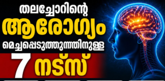തലച്ചോറിന്റെ ആരോഗ്യം മെച്ചപ്പെടുത്തുന്നതിനുള്ള 7 നട്സ്
