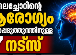 തലച്ചോറിന്റെ ആരോഗ്യം മെച്ചപ്പെടുത്തുന്നതിനുള്ള 7 നട്സ്
