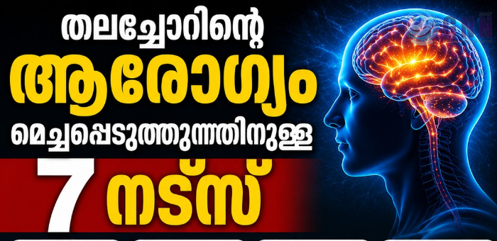 തലച്ചോറിന്റെ ആരോഗ്യം മെച്ചപ്പെടുത്തുന്നതിനുള്ള 7 നട്സ്