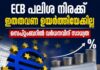 ECB പലിശ നിരക്ക് ഇത്തവണ ഉയർത്തിയേക്കില്ല; സെപ്റ്റംബറിൽ വർധനവിന് സാധ്യത