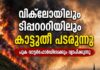 വിക്ക്ലോയിലും ടിപ്പററിയിലും കാട്ടുതീ പടരുന്നു; പുക വാട്ടർഫോർഡിലേക്കും വ്യാപിക്കുന്നു