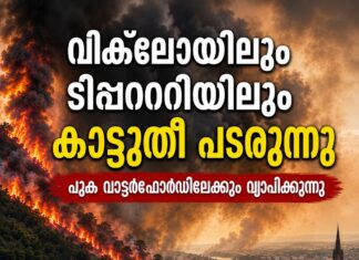 വിക്ക്ലോയിലും ടിപ്പററിയിലും കാട്ടുതീ പടരുന്നു; പുക വാട്ടർഫോർഡിലേക്കും വ്യാപിക്കുന്നു
