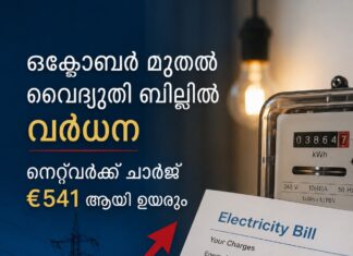 ഒക്ടോബർ മുതൽ വൈദ്യുതി ബില്ലിൽ വീണ്ടും വർധന; നെറ്റ്വർക്ക് ചാർജ് €541 ആയി ഉയരും