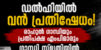 ഡൽഹിയിൽ വൻ പ്രതിഷേധം; രാഹുൽ ഗാന്ധിയും പ്രതിപക്ഷ എംപിമാരും ഗാന്ധി സ്മൃതിയിൽ