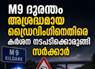 M9 ദുരന്തം: അശ്രദ്ധമായ ഡ്രൈവിംഗിനെതിരെ കർശന നടപടിക്കൊരുങ്ങി സർക്കാർ