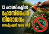 13 കൗണ്ടികളിൽ ഹോസ്പൈപ്പ് നിരോധനം സെപ്റ്റംബർ വരെ നീട്ടി