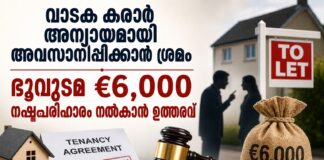 വാടക കരാർ അന്യായമായി അവസാനിപ്പിക്കാൻ ശ്രമം; ഭൂവുടമ €6,000 നഷ്ടപരിഹാരം നൽകാൻ ഉത്തരവ്