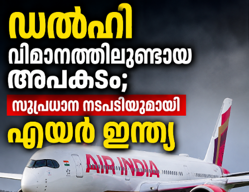 ഡൽഹി വിമാനത്തിലുണ്ടായ അപകടം; സുപ്രധാന നടപടിയുമായി എയർ ഇന്ത്യ
