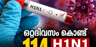 ഒറ്റദിവസം കൊണ്ട് 114 H1N1 കേസുകൾ; ഡൽഹിയിൽ ജാഗ്രത