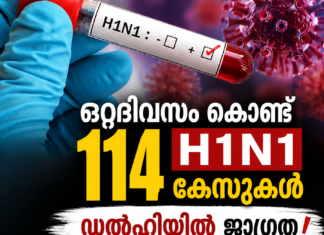 ഒറ്റദിവസം കൊണ്ട് 114 H1N1 കേസുകൾ; ഡൽഹിയിൽ ജാഗ്രത