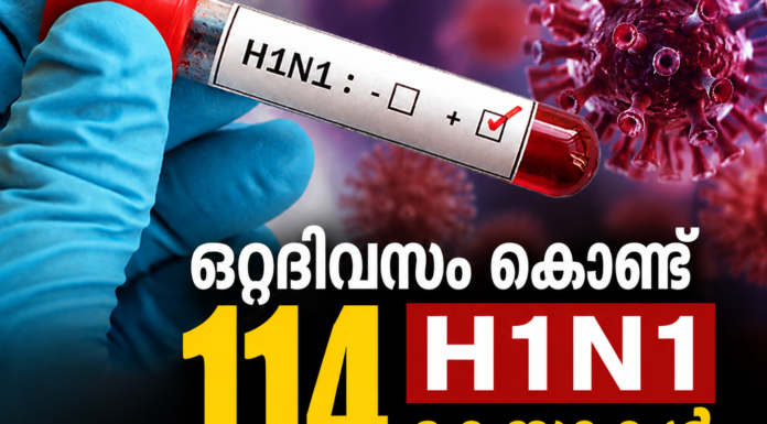 ഒറ്റദിവസം കൊണ്ട് 114 H1N1 കേസുകൾ; ഡൽഹിയിൽ ജാഗ്രത
