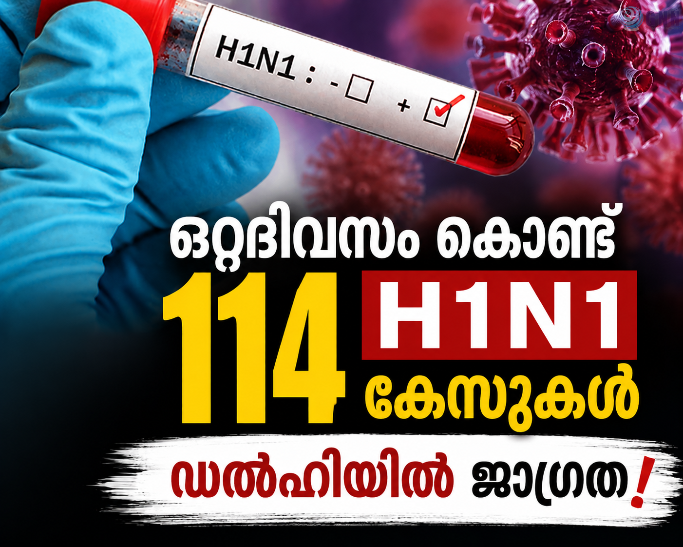 ഒറ്റദിവസം കൊണ്ട് 114 H1N1 കേസുകൾ; ഡൽഹിയിൽ ജാഗ്രത