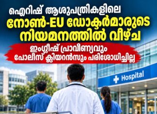ഐറിഷ് ആശുപത്രികളിലെ നോൺ-EU ഡോക്ടർമാരുടെ നിയമനത്തിൽ വീഴ്ച; ഇംഗ്ലീഷ് പ്രാവീണ്യവും പോലീസ് ക്ലിയറൻസും പരിശോധിച്ചില്ല
