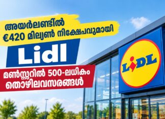 അയർലണ്ടിൽ €420 മില്യൺ നിക്ഷേപവുമായി Lidl; മൺസ്റ്ററിൽ 500-ലധികം തൊഴിലവസരങ്ങൾ