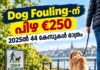 Dog Fouling-ന് പിഴ €250; 2025ൽ 44 കേസുകൾ മാത്രം