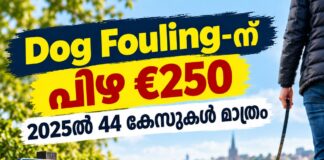 Dog Fouling-ന് പിഴ €250; 2025ൽ 44 കേസുകൾ മാത്രം