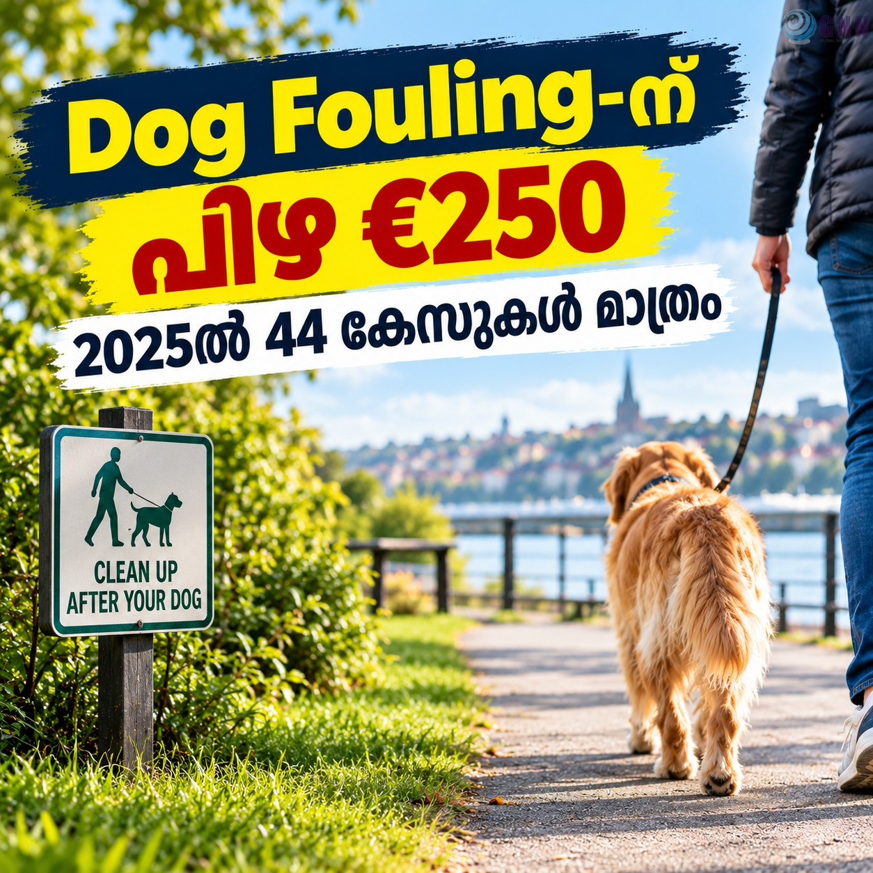 Dog Fouling-ന് പിഴ €250; 2025ൽ 44 കേസുകൾ മാത്രം