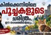 കിൽക്കെന്നിയിലെ പൂച്ചകളുടെ ചരിത്രം, ഈ നഗരത്തിൻ്റെയും..! – അനിൽ രാമപുരം