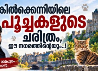 കിൽക്കെന്നിയിലെ പൂച്ചകളുടെ ചരിത്രം, ഈ നഗരത്തിൻ്റെയും..! – അനിൽ രാമപുരം